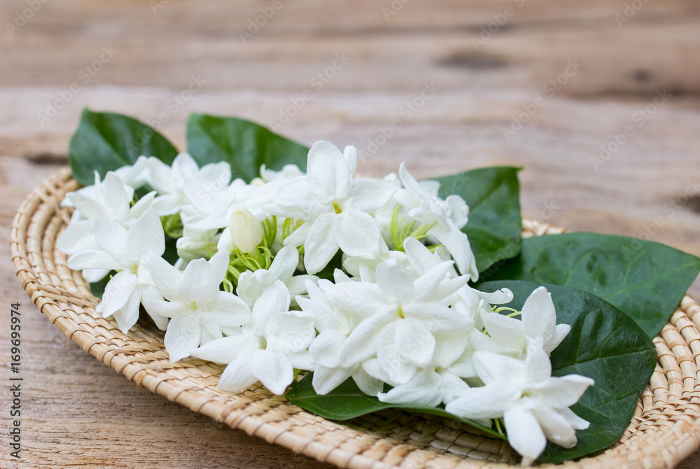 Jasmine flowers in basket ,soft focus Jasmine flowers in basket ,soft focus