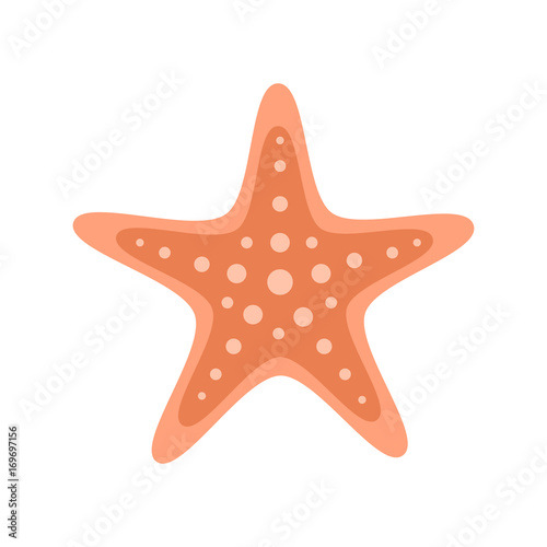 Orange starfish marine animal. Vector illustration drawing. Isolated on white background. photo