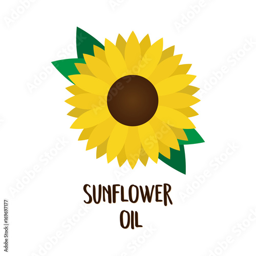 Sunflower oil print, vector illustration drawing of sunflower blossom and green leaves with writing. Isolated on white background.