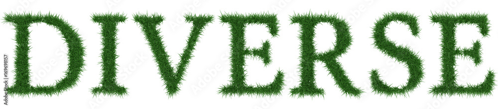 Diverse - 3D rendering fresh Grass letters isolated on whhite background. Diverse - 3D rendering fresh Grass letters isolated on whhite background.