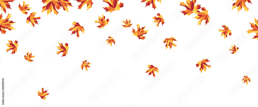 Autumn maple leaves falling down, simple vector background on white