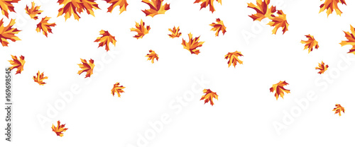 Autumn maple leaves falling down, simple vector background on white