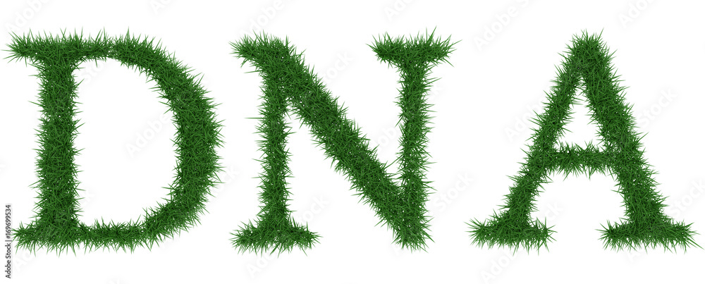 Dna - 3D rendering fresh Grass letters isolated on whhite background. Dna - 3D rendering fresh Grass letters isolated on whhite background.