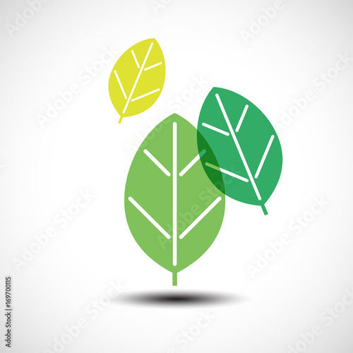 Green leaves design element...