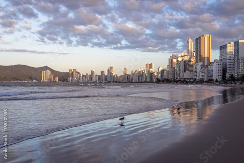 Balneario Camboriu beach and skyline at sunset - Balneario Camboriu  Santa Catarina  Brazil