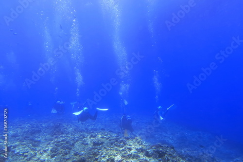 宮古島の海中を泳ぐダイバー © 7maru