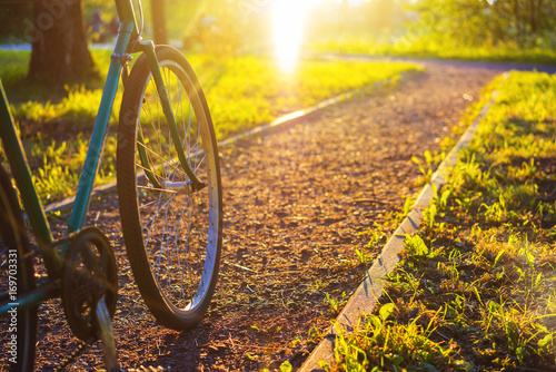 Bicycle wheel on a background of city park at sunset pastel colors during summer.