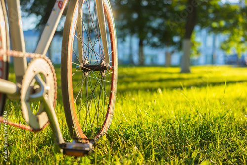 Close up photo of front wheel of bicycle in the city park at summer sunset.  Trees and shadows on grass on blurred background.