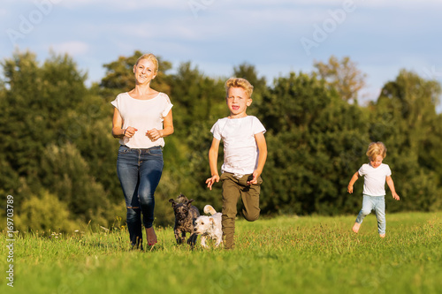 mother with two boys and two dogs runs over a meadow