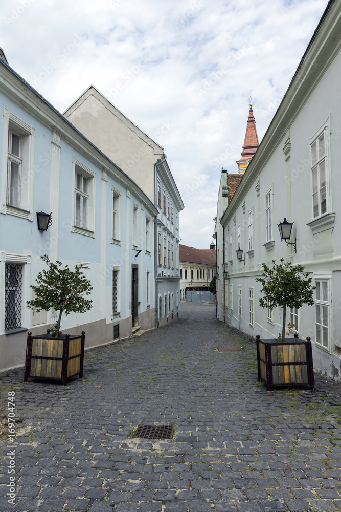 Street in Szekesfehervar, Hungary