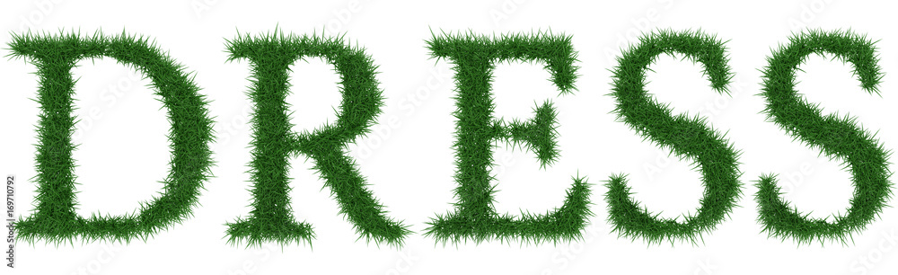 Dress - 3D rendering fresh Grass letters isolated on whhite background. Dress - 3D rendering fresh Grass letters isolated on whhite background.