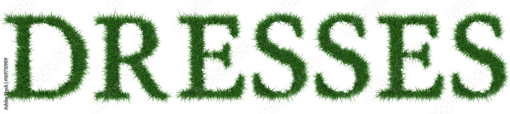Dresses - 3D rendering fresh Grass letters isolated on whhite background. Dresses - 3D rendering fresh Grass letters isolated on whhite background.
