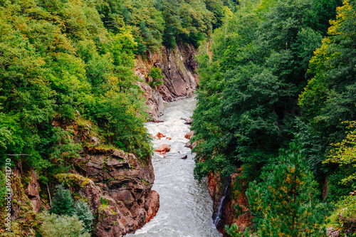 beautiful natural landscape with a river between the forested mountains