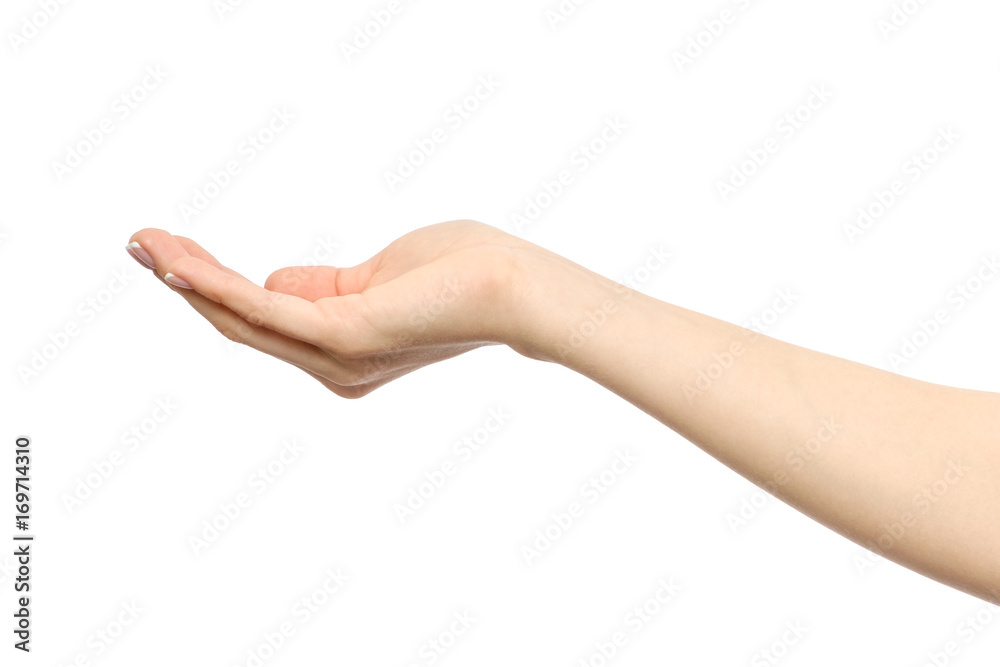 Woman's stretched hand with open palm Woman's stretched hand with open palm