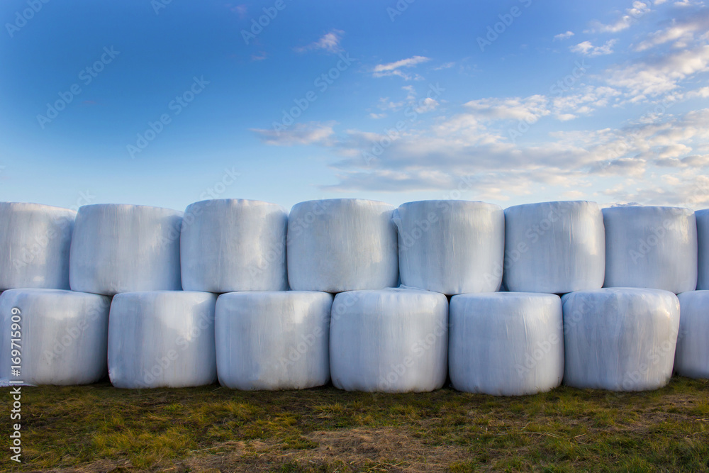 ay preparation, rolls, hay reel, straw, bale, on a meadow on the grass. sunset ay preparation, rolls, hay reel, straw, bale, on a meadow on the grass. sunset