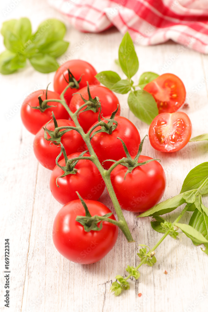 fresh tomato fresh tomato