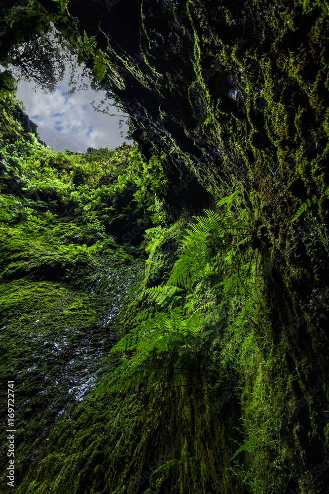 Algar do Carvão, Ilha Terceira