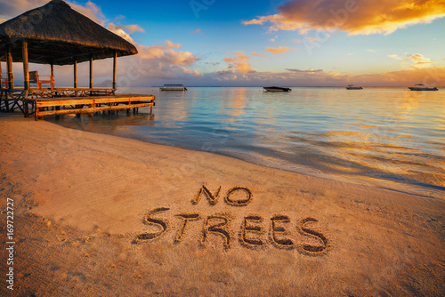 Εκτύπωση καμβά The written No stress