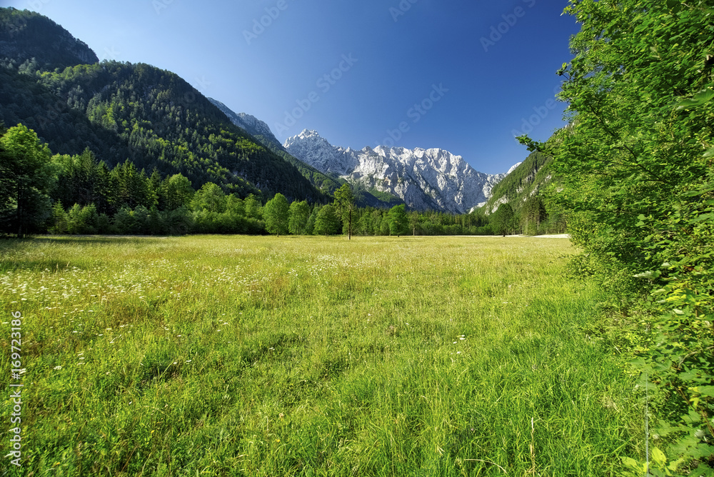 Logarska Dolina Slovenia