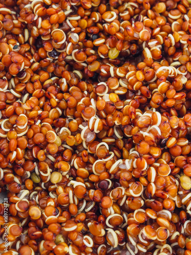 Close up of cooked red quinoa