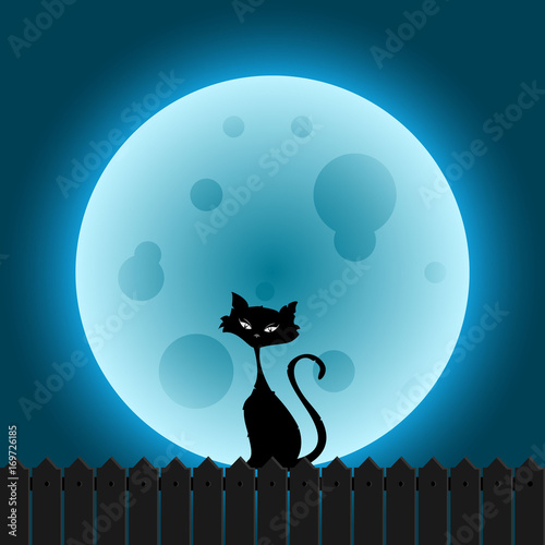 Full moon with ugly cat 