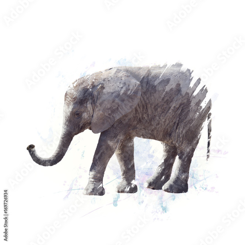 Baby Elephant watercolor