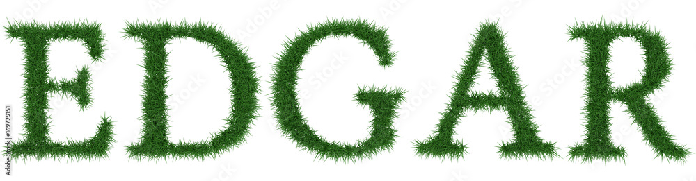 Edgar - 3D rendering fresh Grass letters isolated on whhite background. Edgar - 3D rendering fresh Grass letters isolated on whhite background.