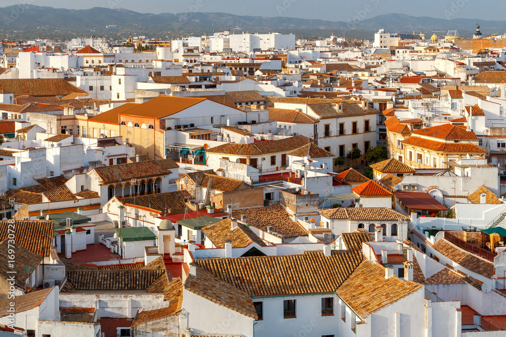 Cordoba. Aerial view of the city.