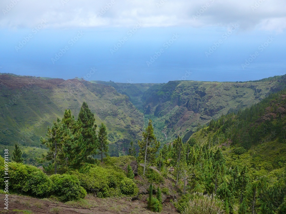 Obraz premium Nuku Hiva Marquises Polynésie canyon Pacifique