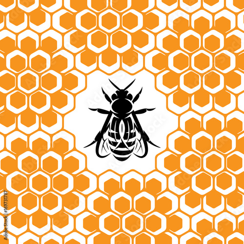 Vector background with honeycomb and bee for packing