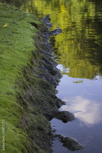 Wasser