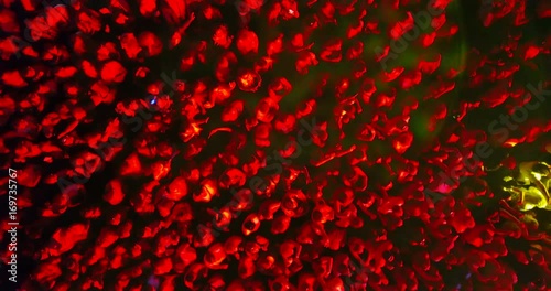  a crowd of people at a concert. drone point of view
