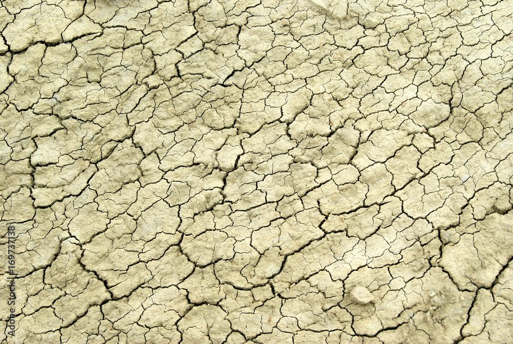 Dry cracked clay surface