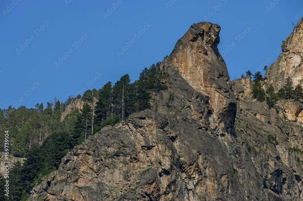 Fototapeta premium Mountain top of eagle's rock overgrown with coniferous forest and glade of Rila mountain, Bulgaria 