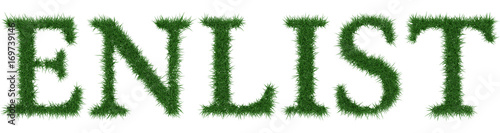 Enlist - 3D rendering fresh Grass letters isolated on whhite background.