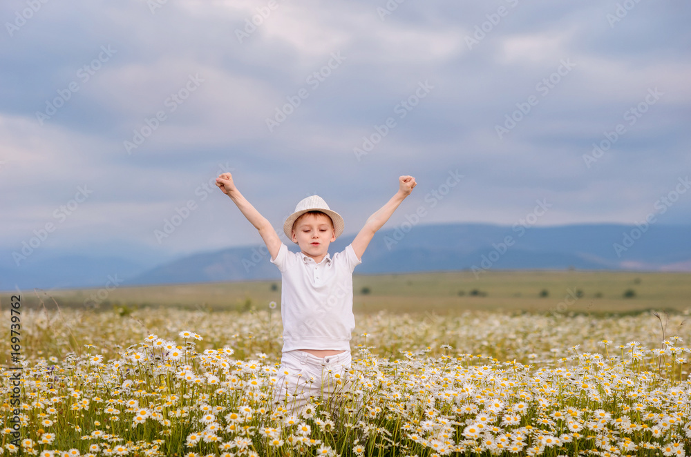 Happy boy on the field of chamomiles Happy boy on the field of chamomiles
