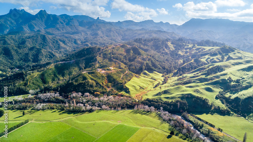 Aerial view on a farmland at the foot of mountain ridge. Coromandel  New Zealand