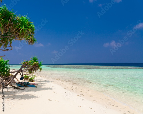 Maldives, white sand, palms