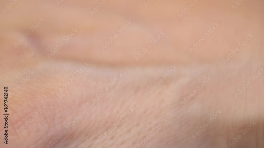 Extreme closeup of hand, skin detail