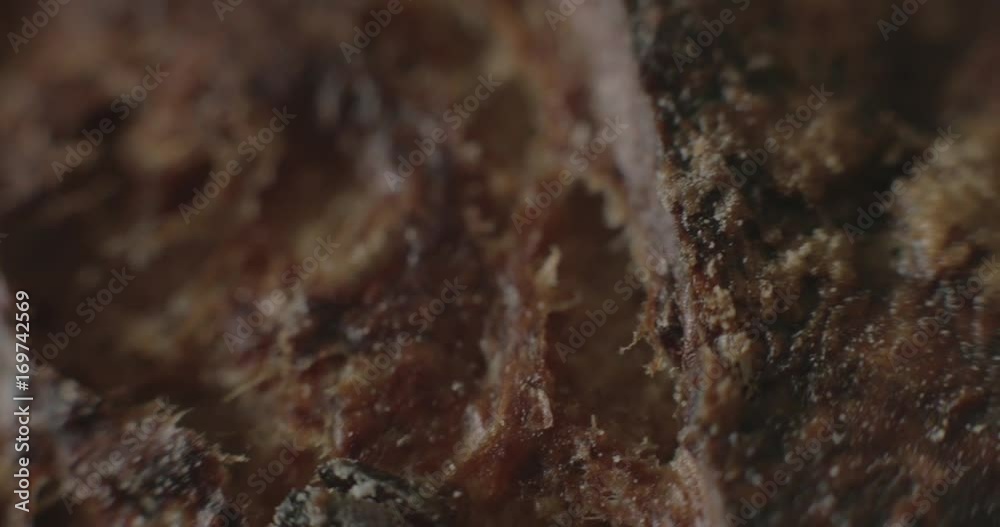 An artisan bread loaf in macro detail.