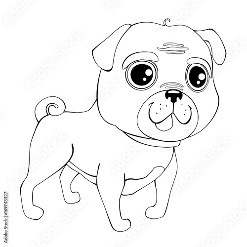 Illustration of dog pug breed. Isolated pug outline.