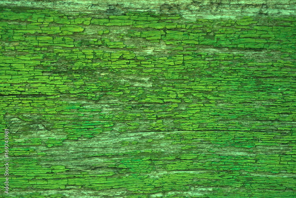 Old cracked green paint on a wooden surface