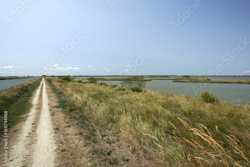 valli di comacchio