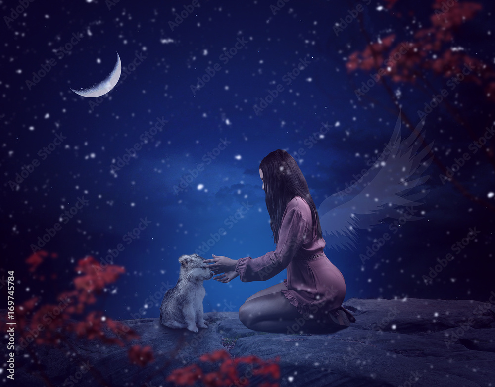 young girl touching a lovely little wolf during the night