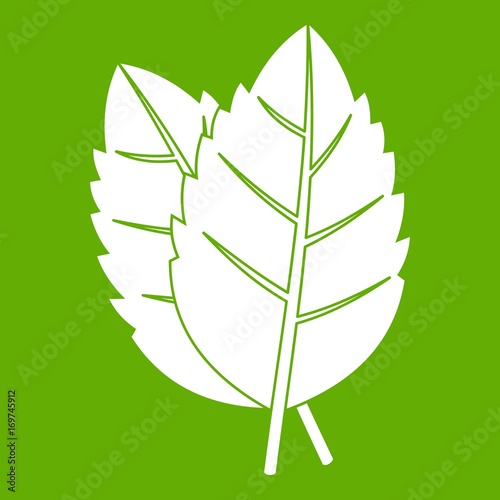 Two basil leaves icon green