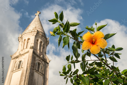 Hibiscus orange flower in front of Balata Cathedral (Sacre-Coeur de Balata) in Martinique photo