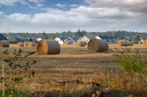 Hay bales on field after mowing
