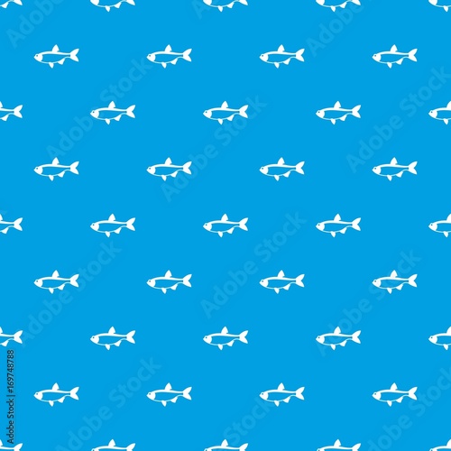 Rudd fish pattern seamless blue