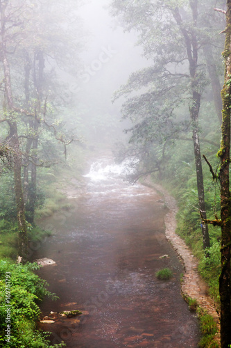 tinh yeu or love waterfall in the jungle near Sa Pa, Vietnam photo