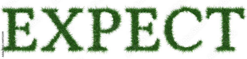 Expect - 3D rendering fresh Grass letters isolated on whhite background. Expect - 3D rendering fresh Grass letters isolated on whhite background.
